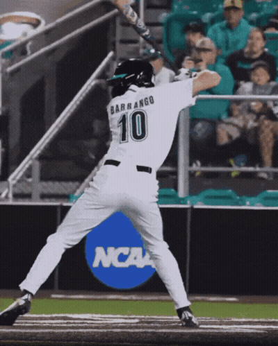 Barrango Swinging Bat GIF