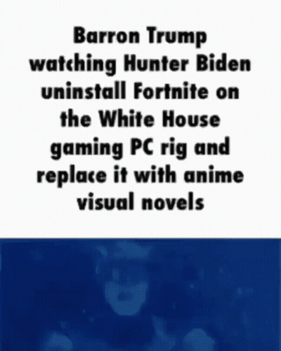 Barron Trump Watches Hunter Biden Swap Fortnite For Anime GIF