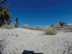 Bart Scott Can't Wait Exhibition Bicycle GIF