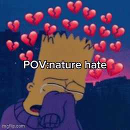 Bart Simpson Is Crying With Broken Hearts In The Background And The Caption Pov Nature Hate GIF