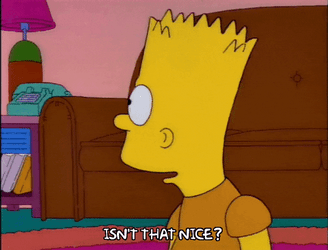 Bart Simpson Isn't Thats Nice GIF