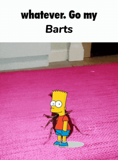 Bart Simpson Pink Rug Whatever Go My Barts GIF