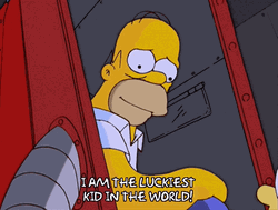 Bart The Luckiest Kid In The World GIF