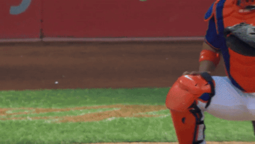 Baseball Catcher Catches Ball In Front Of Ylenia Banner GIF