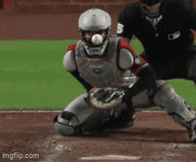 Baseball Catcher Number 5 GIF