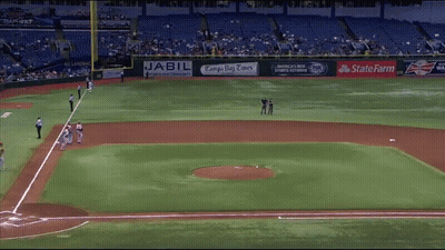 Baseball Field Advertising Jabil, Tampa Bay Times, Budweiser GIF