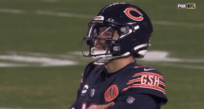 Baseball Field With BearsWin GIF