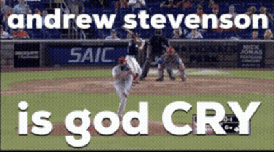 Baseball Game Andrew Stevenson Is God Cry GIF