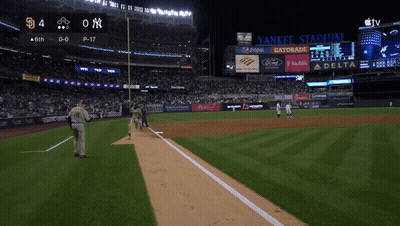 Baseball Game At Yankee Stadium GIF