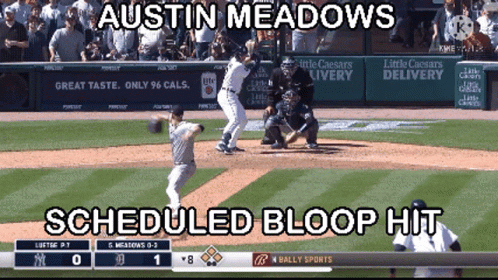 Baseball Game Austin Meadows Detroit Tigers GIF