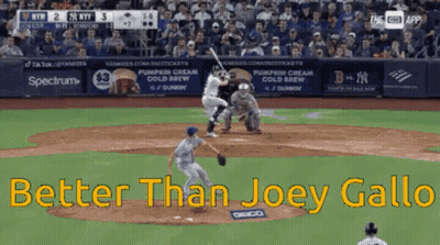 Baseball Game Better Than Joey Gall GIF