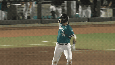 Baseball Game East Carolina Vs Conway GIF
