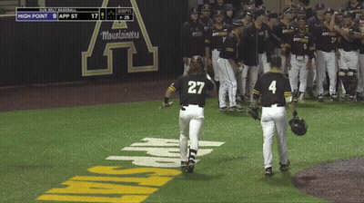 Baseball Game High Point Vs App State GIF