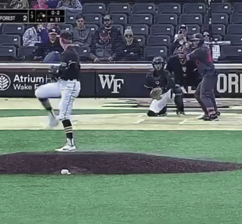Baseball Game In Front Of Banner Atrium Wake 5 GIF