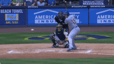 Baseball Game In Front Of Beach Towel Banner GIF