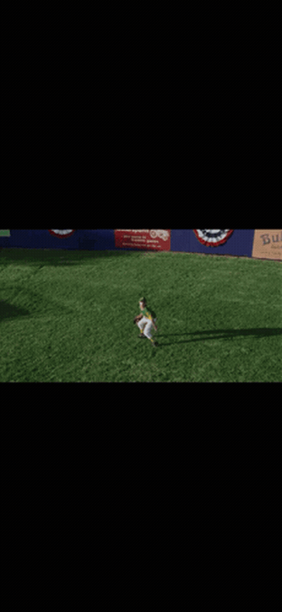 Baseball Game In Front Of Butcher Banner GIF