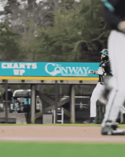 Baseball Game In Front Of Canway Banner GIF