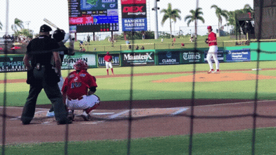 Baseball Game In Front Of Clarion Banner GIF