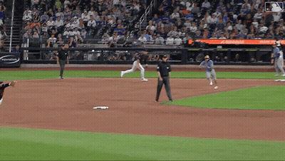 Baseball Game In Front Of Home Plate Sign GIF