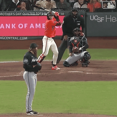 Baseball Game In Front Of Mother's Day Quilted Tote GIF