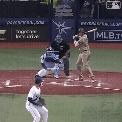 Baseball Game In Front Of Raysbaseball.com Sign GIF