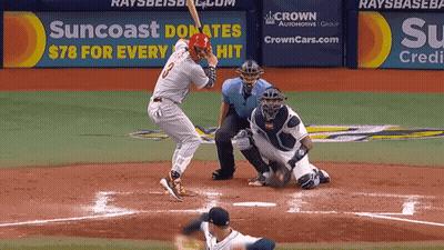 Baseball Game In Front Of Suncoast Ad GIF