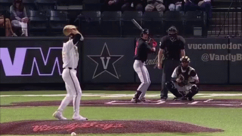 Baseball Game In Front Of Vm Sign GIF
