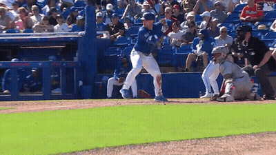 Baseball Game In Phillies Stadium GIF