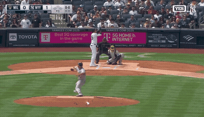 Baseball Game In Stadium GIF