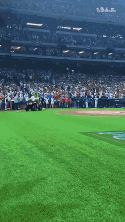 Baseball Game In Stadium GIF