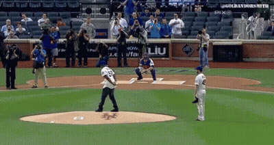 Baseball Game In Stadium With Ad For Liu GIF