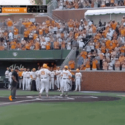 Baseball Game In Stadium With Tennessee Sign GIF