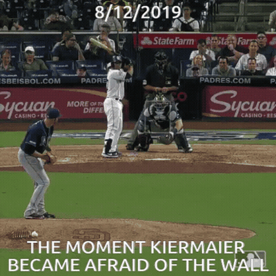 Baseball Game On 8/12/19 GIF