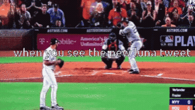 Baseball Game On TV Saying When You See The New Luna Tweet GIF
