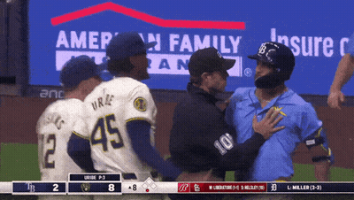 Baseball Game With American Family Advertisement GIF