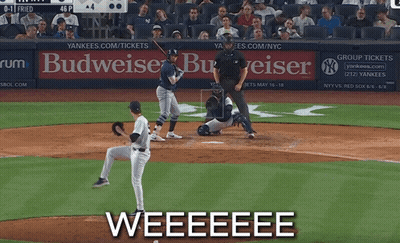 Baseball Game With Budweiser Ad In Outfield GIF