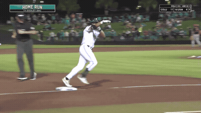 Baseball Game With Home Run Sign GIF