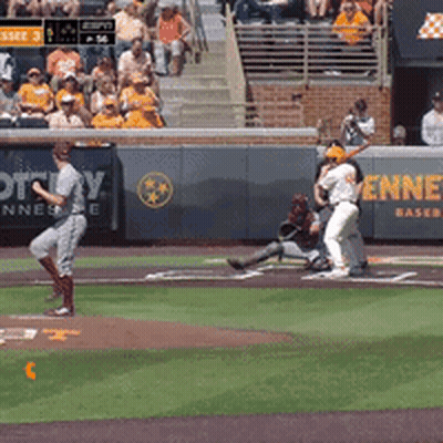 Baseball Game With Ottawa Banner GIF