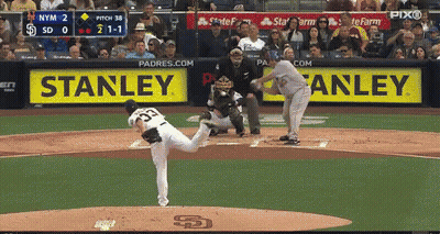 Baseball Game With Stanley Ad GIF