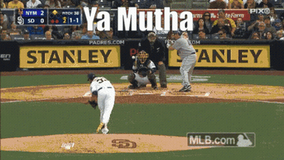 Baseball Game With Stanley Ads GIF