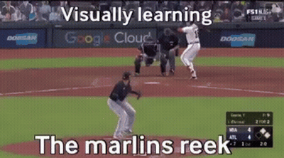Baseball Game With Visually Learning Marlins Reek GIF