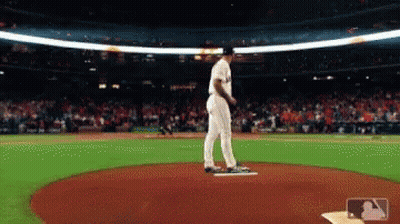 Baseball Pitcher Ready To Throw GIF