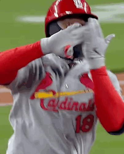 Baseball Player Covering Face GIF