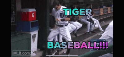 Baseball Player Dancing In Dugout Tiger Baseball GIF