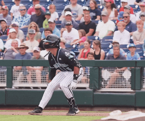 Baseball Player In Black And White Striped Uniform Rays GIF