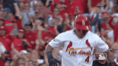 Baseball Player In Cardinals Jersey Before Crowd GIF