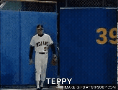 Baseball Player In Front Of Blue Wall Saying Teppy GIF