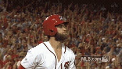 Baseball Player In Front Of Crowd GIF