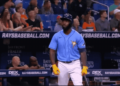 Baseball Player In Front Of Rays Banner GIF