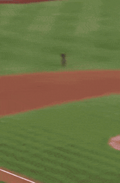 Baseball Player In Padres Jersey GIF